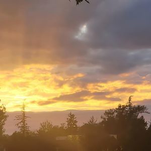 Meet your Posher, Brianne